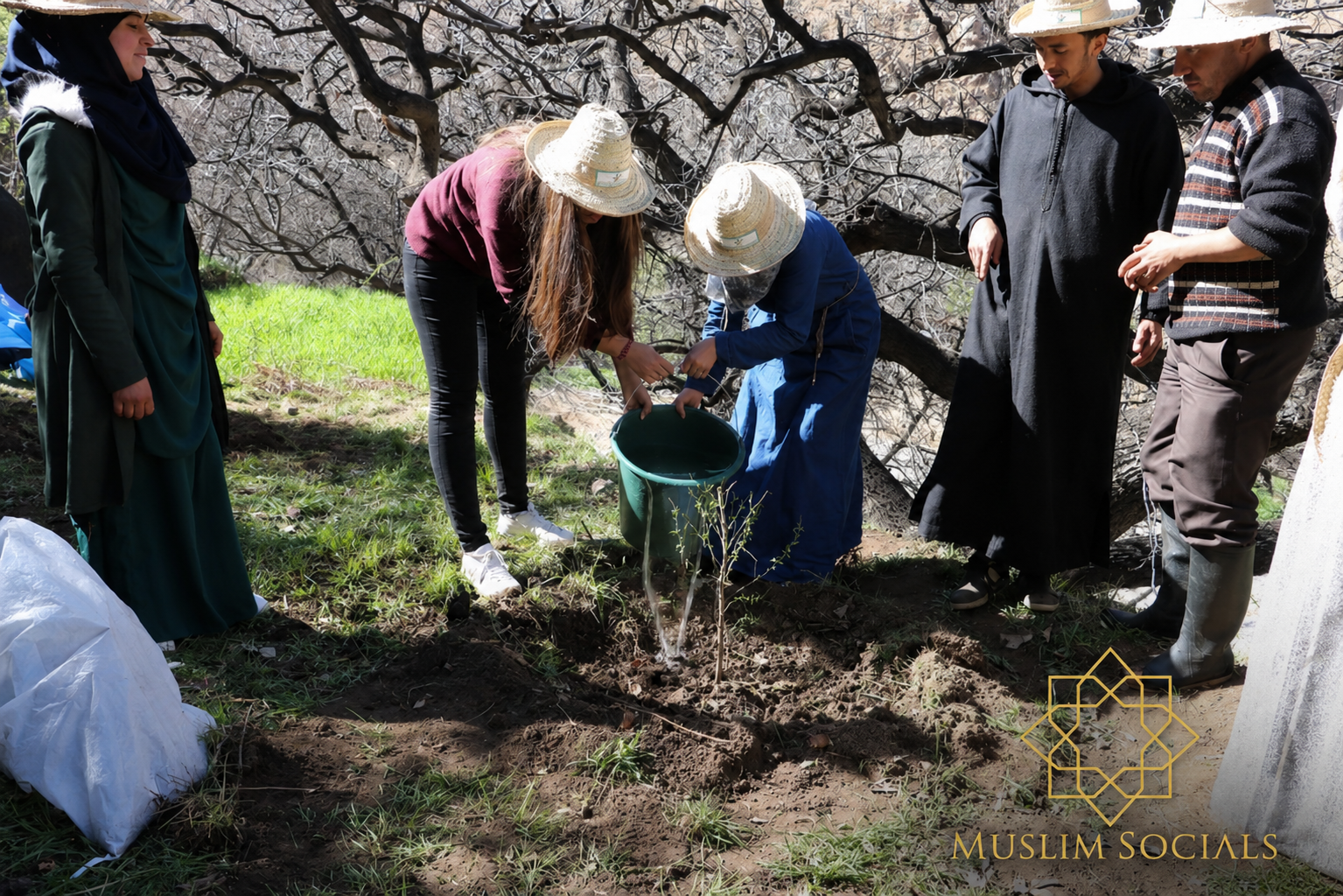 Community tree planting near a Muslim Socials well